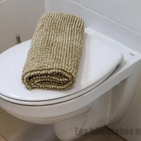 Apartment Tisza Gyoengye